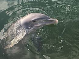 Kona Kai Resort and Gallery - Adults Only