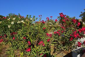 Petra Holiday Village