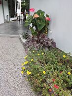 Riverside Mount Simpson - Seychelles Island