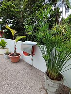 Riverside Mount Simpson - Seychelles Island