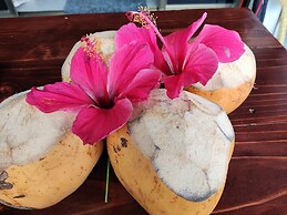 Riverside Mount Simpson - Seychelles Island