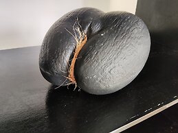 Riverside Mount Simpson - Seychelles Island