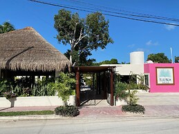 Blue Palm Bacalar