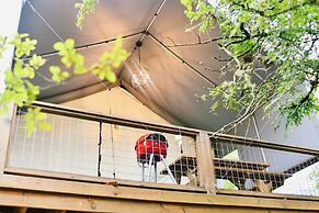 15 Son's Geronimo - Birdhouse Cabin