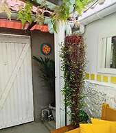 Aurea Flats