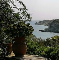 Villa Sophia Paros  Beachfront Sea View