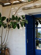 Villa Sophia Paros  Beachfront Sea View