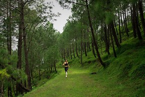 Cassia Hotels and Resorts