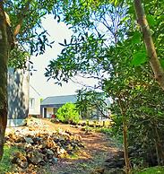 Casas do Morgadio - azorean wine & lodge