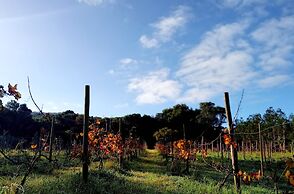 Casas do Morgadio - azorean wine & lodge