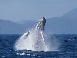 AZ Hotel Amami ISLAND