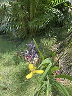 POUSADA HORIZONTE AZUL