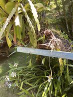 POUSADA HORIZONTE AZUL