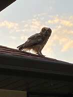 Suite Dreams Guesthouse aka Care Takeover Home