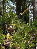 Suite Dreams Guesthouse aka Care Takeover Home