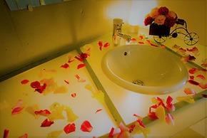 LA.FESTA - Adults Only