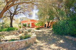 Domos Pintadas Apt. 2 Porto Rotondo