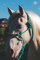 Cerro Azul Hotel Fazenda
