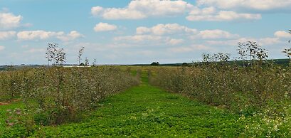 Cerro Azul Hotel Fazenda