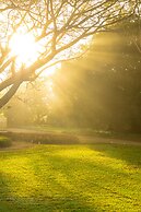 Hacienda San Antonio Millet