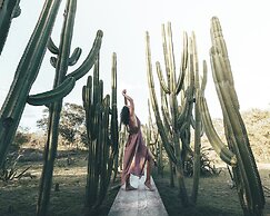 Hacienda San Antonio Millet