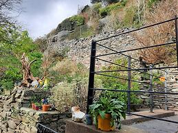 Tranquil Retreat in North Wales