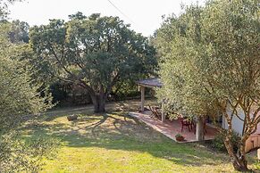 Domos Pintadas Villetta in Porto Rotondo