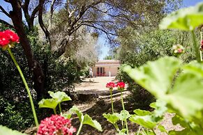 Domos Pintadas Villetta in Porto Rotondo