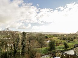 Gwynfryn