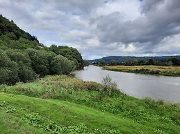 Gwynfryn