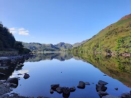 Gwynfryn