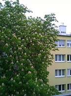 Westend City Hostel GmbH