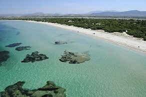 Room in Guest Room - S'olivariu Village Affittacamere - Deluxe King Ro