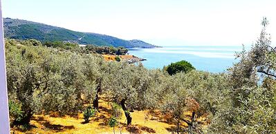 Villa Leonidas GreeceFiloxenia