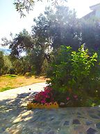 Villa Leonidas GreeceFiloxenia