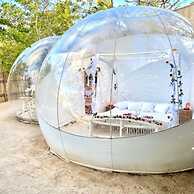 Rock and Sea Bubble Lodges