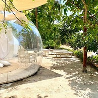 Rock and Sea Bubble Lodges