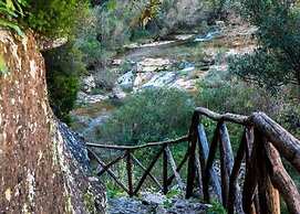 Apartment in Villa a Stone's Throw From the sea Up