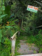 Room in Guest Room - Room With 2 Double Beds Number 14