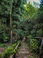 Room in Lodge - Tree House Finca La Floresta Verde