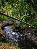 Room in Lodge - Tree House Finca La Floresta Verde