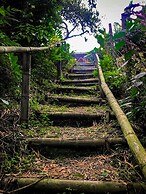 Room in Lodge - Tree House Finca La Floresta Verde