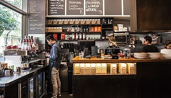 Modern Potts Point Studio