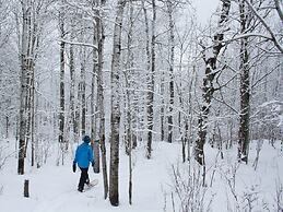 Thomsonite Beach Inn