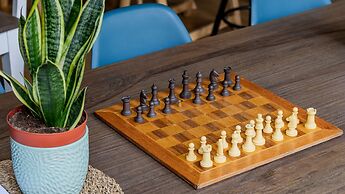 Oporto Invictus Hostel