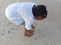 1-bedroom Apartment With Pool View, Beach Experien