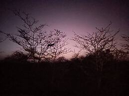 1-bedroom Apartment With Pool View, Beach Experien