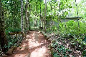 Budongo Eco Lodge