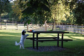 Carreg Cennen Cottage