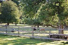 Carreg Cennen Cottage